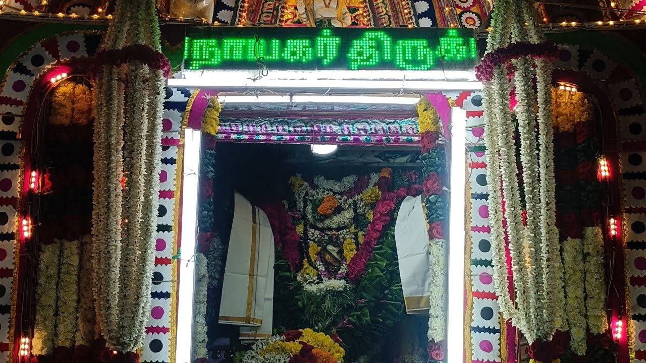 #வாசுதேவநல்லூர் ஸ்ரீ #சேனை #விநாயகர் #திருக்கோயில் #தைத்திருநாள் முன்னிட்டு #சப்பர #வீதி #உலா