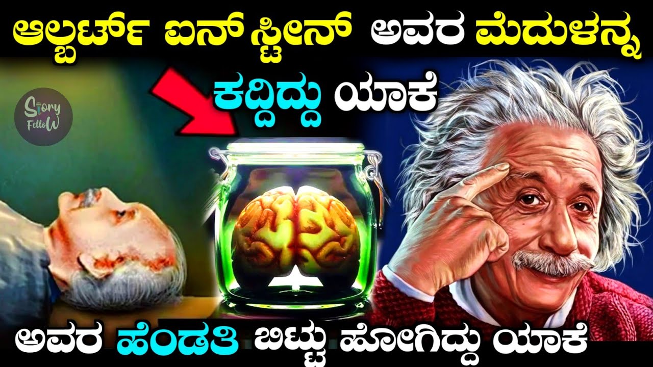 ಇವರು ಎಂಥಾ ವಿಜ್ಞಾನಿ ಗೊತ್ತಾ | life story of Albert Einstein in Kannada| story fellow