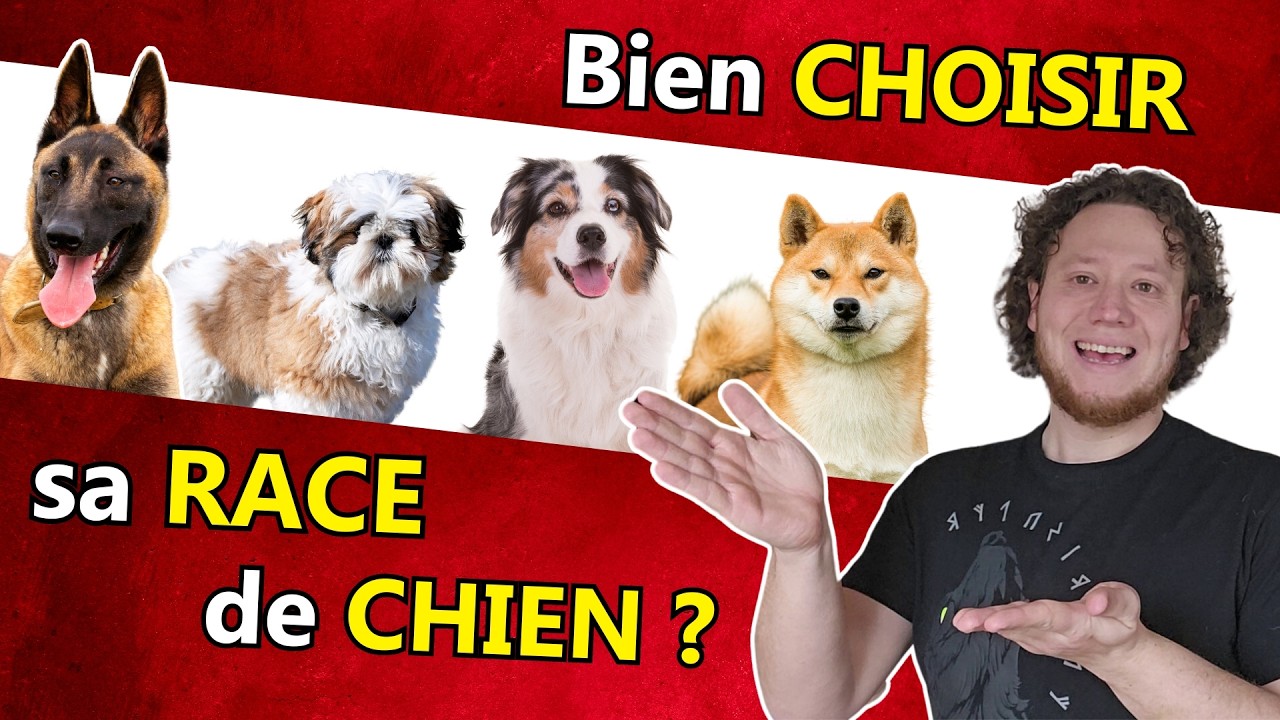 Comment bien choisir son chien ? Ces paramètres sont super IMPORTANTS !!
