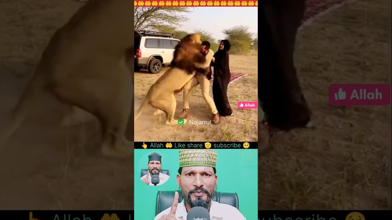 मैं मुसलमान हूँ अल्हम्दुलिल्लाह♥️🥹 🕋 | 