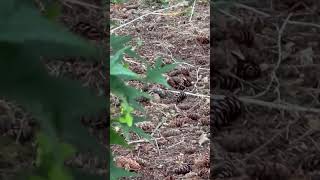 IMG 0123