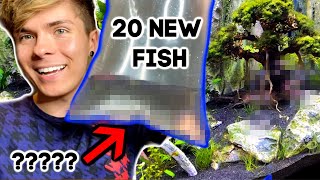 Buying 20 New Fish for my 75 Gallon Planted Aquarium!