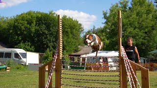 Apbts Strong Spirit In It To Win It And Favourite Ferrari. Jumpngym Fest 2022