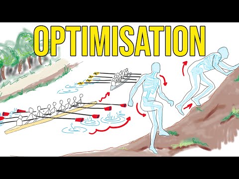 Optimisation applied to