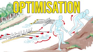 Optimisation applied to Skeletons, Climbing and Rowing Net Worth