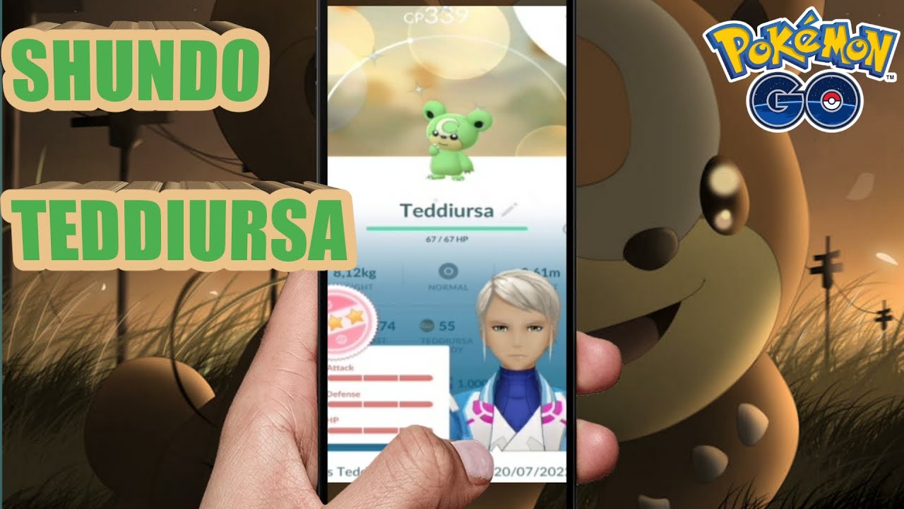 Hunt Shiny Teddiursa IV 100 | Pokémon GO