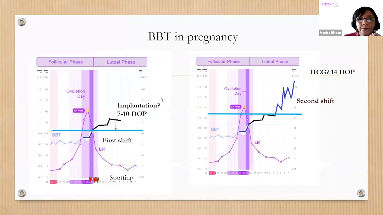 Bbt Chart Vs Not