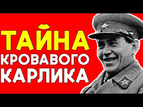 Как ЕЖОВ превратился в палача СТАЛИНА: восхождение кровавого наркома НКВД