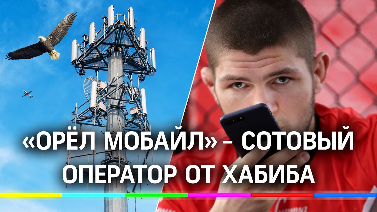 Хабиб запустит свою мобильную связь Eagle Mobile. Орёл - кличка Нурмагомедова