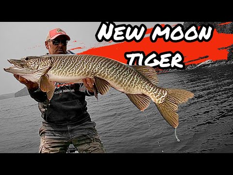 Red October Rigs – Musky Ontario Lure Company