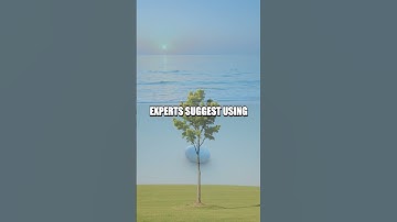 Mastering the Art of Negative Space in Photography