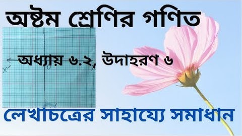 অষ্টম শ্রেণির গনিত অধ্যায় ৬.২ লেখচিত্র