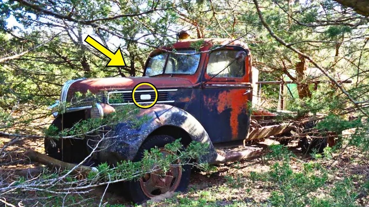 Man Finds Old Truck In Forest. He Can't Believe His Eyes When Looking Inside - YouTube