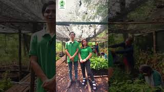 iF Social Impact Prize Winner 2022 - One Million Trees Borneo Nature Foundation