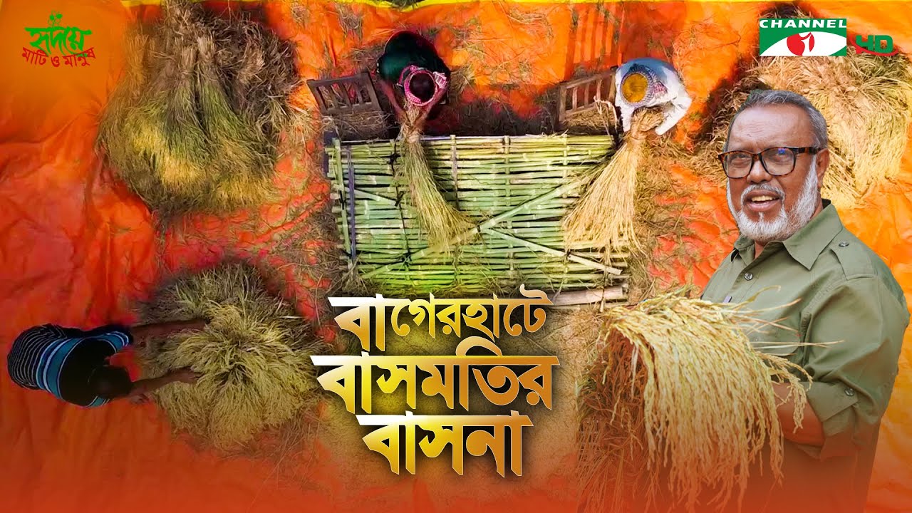 উন্নত জাতের বাসমতি এখন বাগেরহাটে | Shykh Seraj | Channel i |