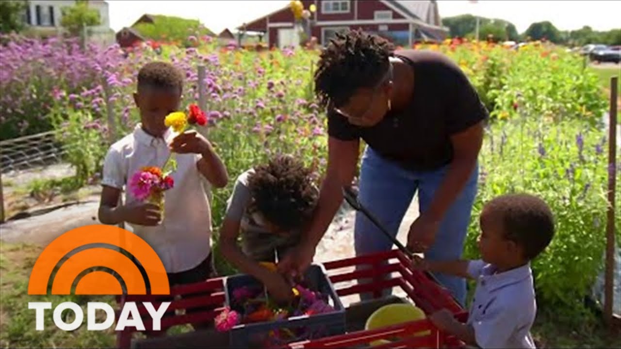 Why A Growing Number Of Black Parents Are Homeschooling