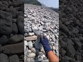 海岸の黒い石を割ったところ…