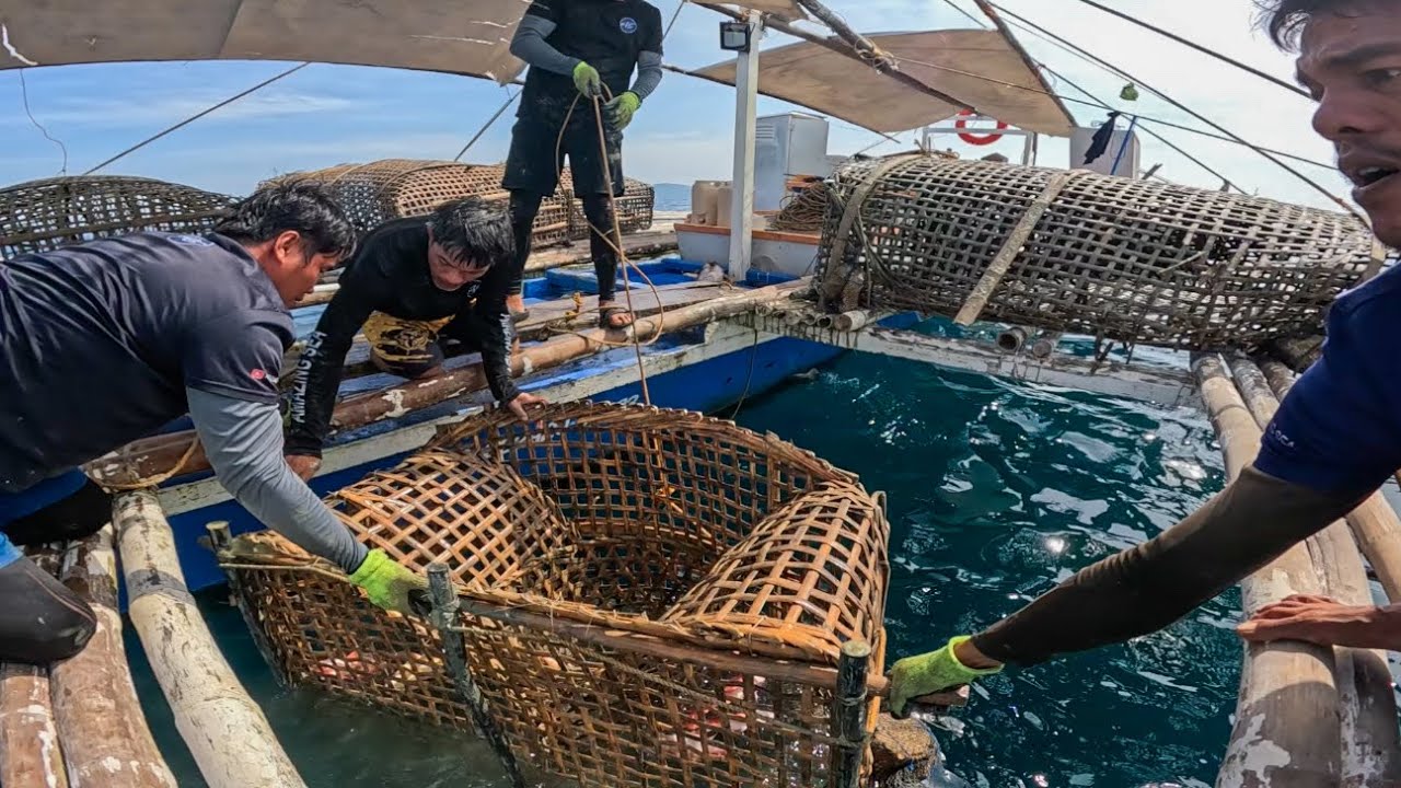 Ang Daming Pinakawalan Sa Trap Isang Buwan Bago Nahango