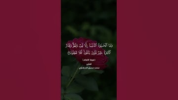 سورة الأنعام آيه ٣٢ #القرآن_الكريم #العراق #اكسبلور #لايك #تيك_توك #المنشاوي #duet #الجزائر #ترند