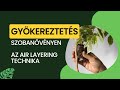 Gyökereztetés a növényen | Air layering | #LetsLeaf