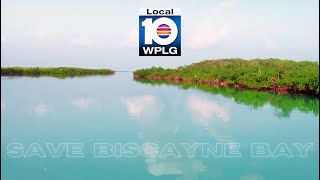 Day 8 of The 12 Days of Biscayne Bay - Dec 6, 2022