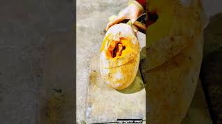 remove the damaged part of the vegetables