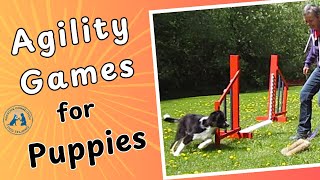 Agility Foundations for Your Puppy: Teach Your Dog to Go Around a Wing