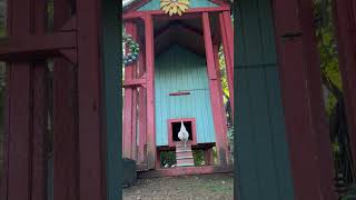 #soccer #chickens #backyardchickens #freerangechickens #longisland #chickencoop #farm #fyp