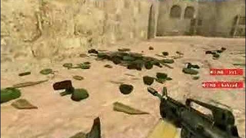 C4 Bomb Bug Counter Strike