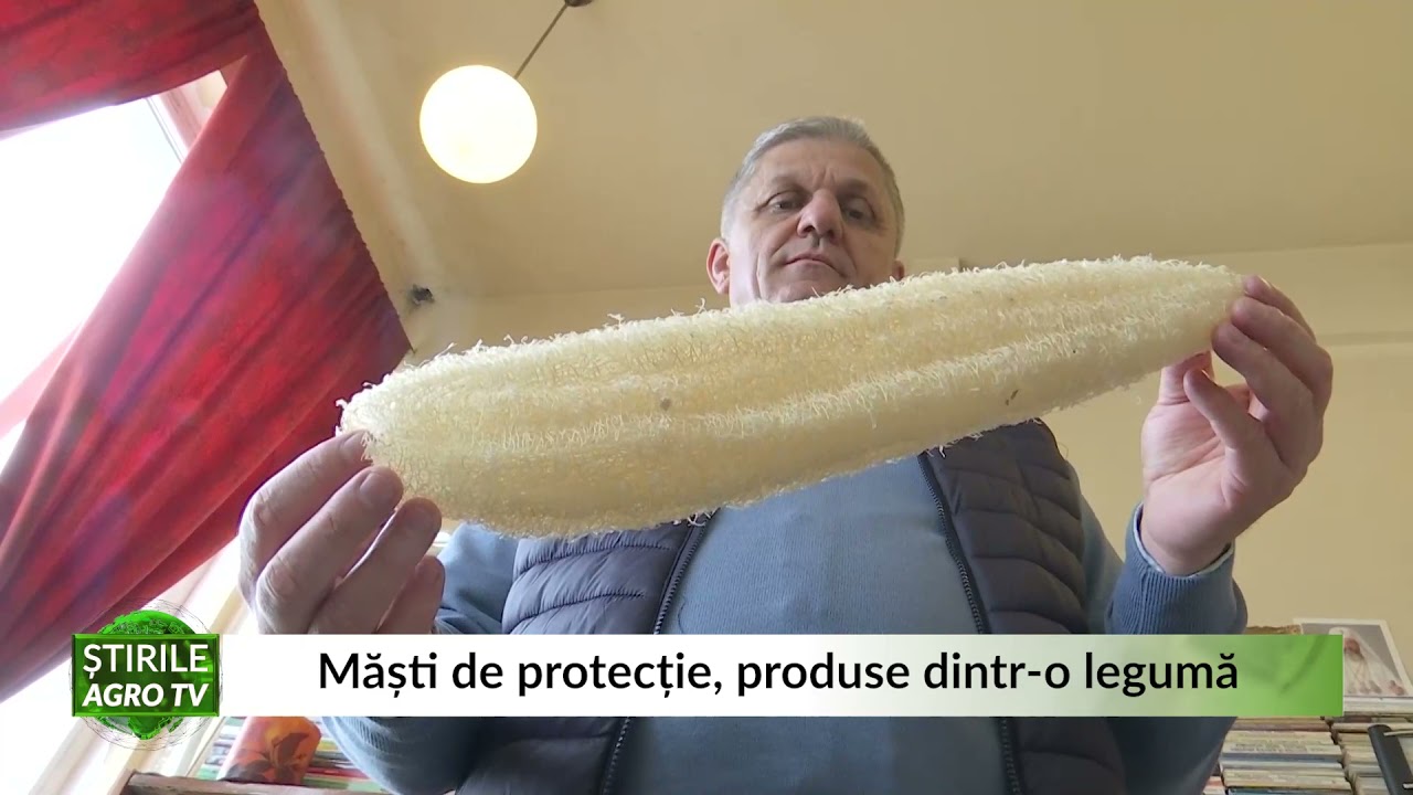 VIDEO Măști de protecție produse dintr-o legumă 1 VIDEO Măști de protecție produse dintr-o legumă YouTube player