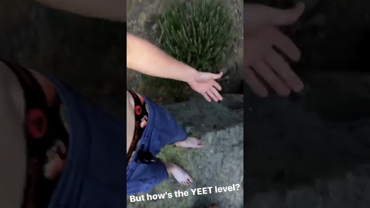 Logan Paul (Instagram)