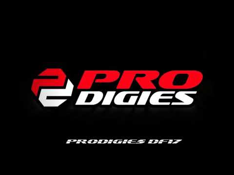PRODIGIES DF17 岸拋竿