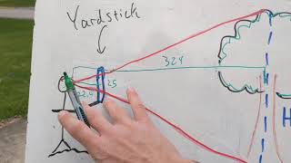 Similar Triangles: Finding the height of a tree using a yardstick