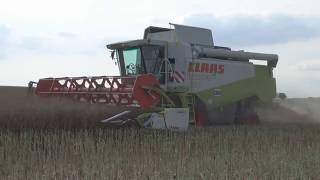 Moisson de colza 2017/lexion 460-ETA Facon