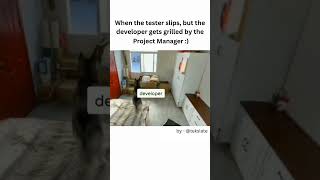 Tester vs Developer 😭 #developermemes #codingmemes #funny #comedy #Programmingmemes