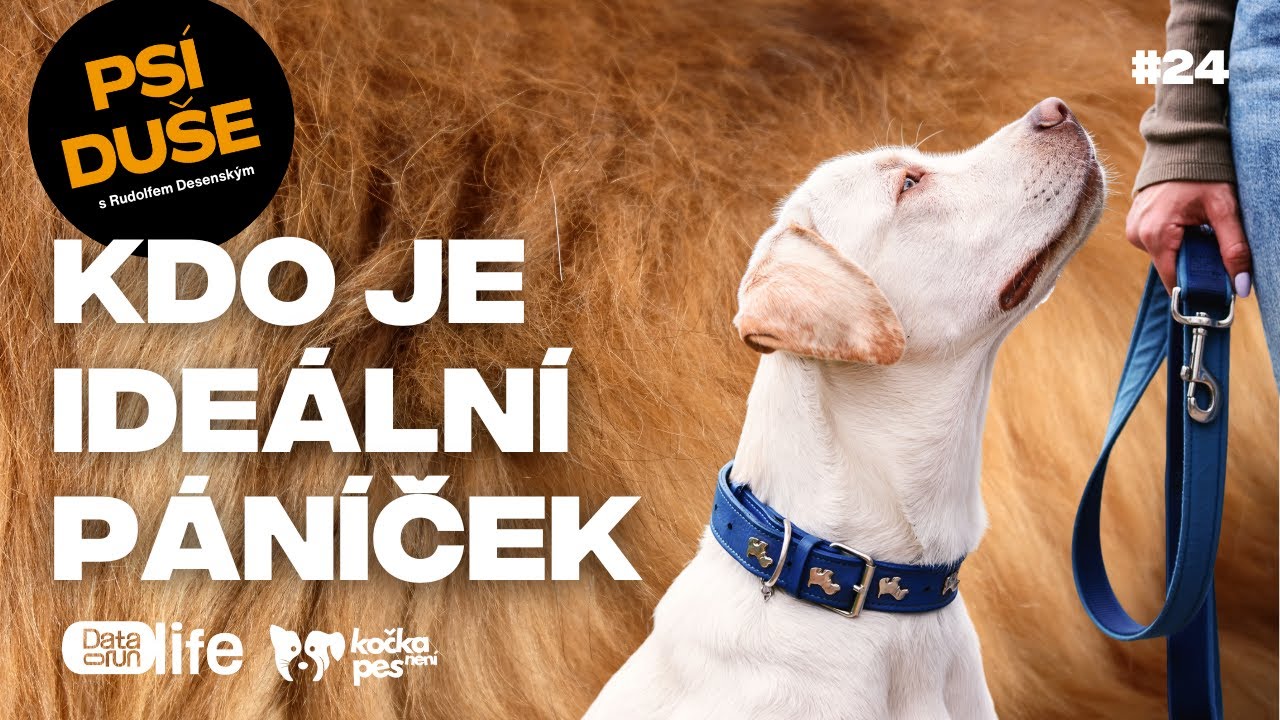 Chcete skvělého psa? Začněte u sebe, říká psí psycholog Rudolf Desenský  | Psí duše #24