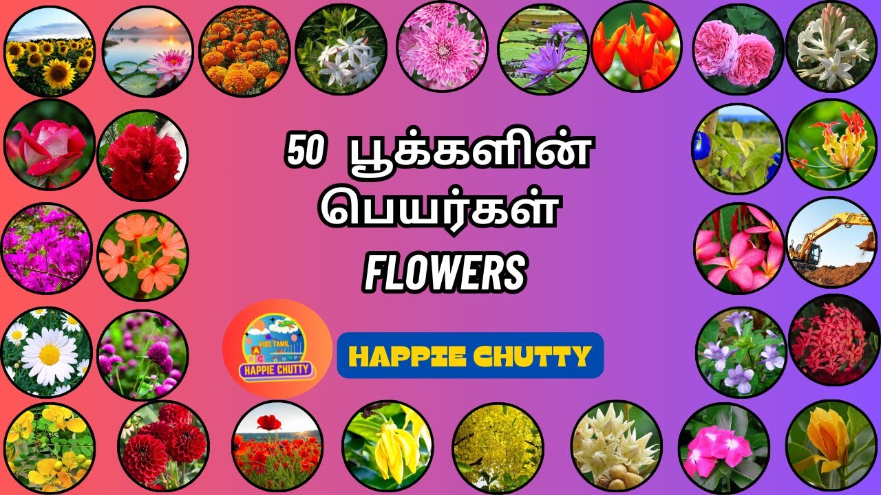 50 பூக்களின் பெயர்கள் | Learn Flowers Names in Tamil and English for kids | Happie chutty