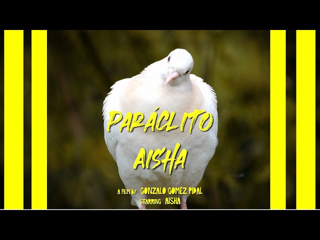 thumbnail img16x9