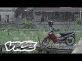 Sensus: Jajak Pendapat Anak Muda Indonesia