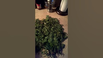 Drying Fresh Garden Parsley!