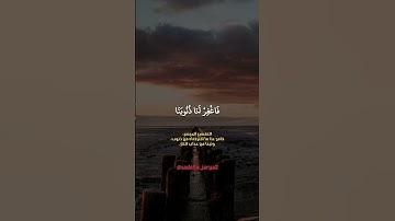 وقنا عذاب النار ❤️ #سورة_آل_عمران #ماهر_المعيقلي #تلاوة_خاشعة #صوت_جميل #قرآن_كريم #الجزائر #مشاركة