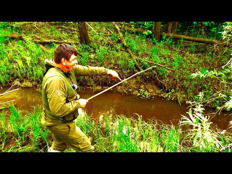 Видео: Я ОБАЛДЕЛ! Наноручей кипит от крупной рыбы. дикий ЖОР на удочку. Рыбалка 2022.