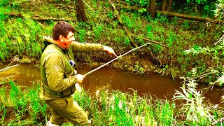 Я ОБАЛДЕЛ! Наноручей кипит от крупной рыбы. дикий ЖОР на удочку. Рыбалка 2022.