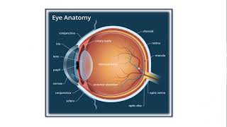 Glaucoma Awareness Virtual Workshop