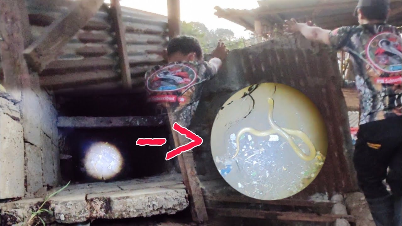 15ft ANG LALIM NG AMING NILUSONG. TRABAHADOR MUNTIK MA KAGAT#cobraprince