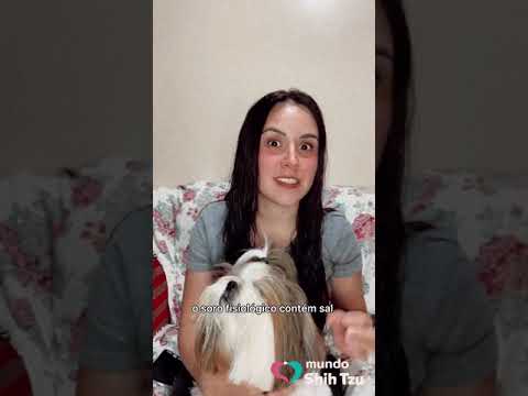 Vídeo: Como tratar a unha encravada de um cão