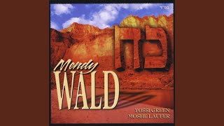 Video thumbnail of "Mendy Wald - Koach"