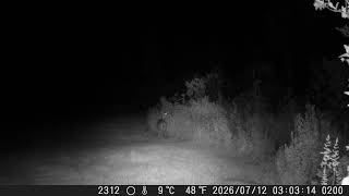 2026 — DSCF2200
