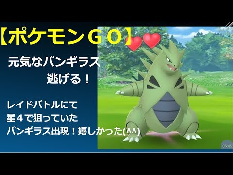【ポケモンＧＯ】元気なバンギラス、逃げる