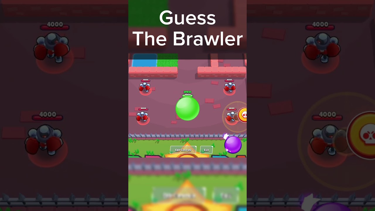 Guess The Brawler (7) 